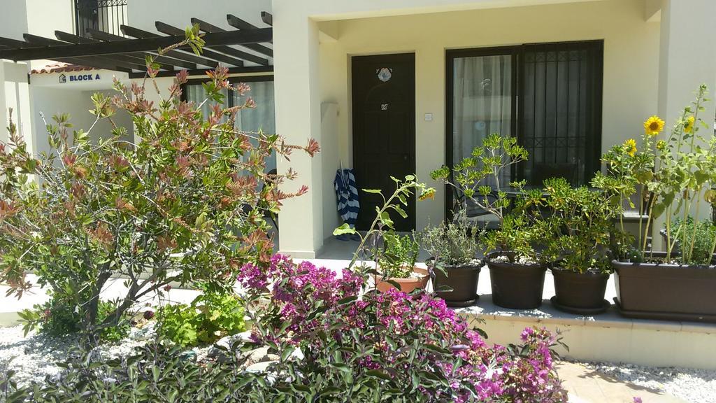 Faros Beach Paphos Eksteriør bilde